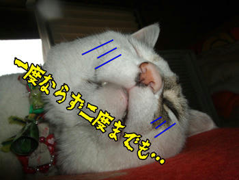 そなの…またなの…