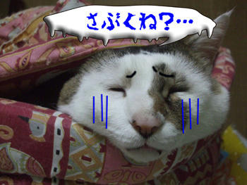 21℃だから非常~にヤバイわww