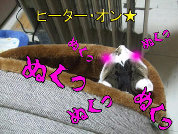 いきなりベッドも冬仕様(笑)