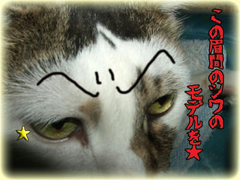 そこよりもっと凄いとこあるわ、はっはっは～