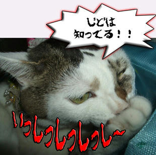 その邪悪な笑みは止めなさい！