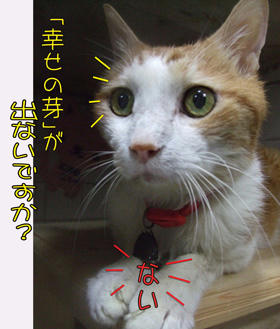 「砂漠」なんだって…(ﾉДT)ｱｩｩ