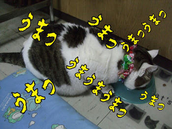 一度も顔上げないし!ΣΣ( ̄◇ ̄;)!