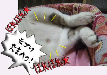 この腹はたまらんっ！