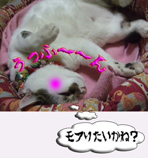 ダイブ、準備完了☆