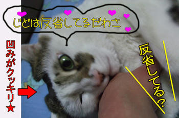 反省の度合いは凹に出るんかい?