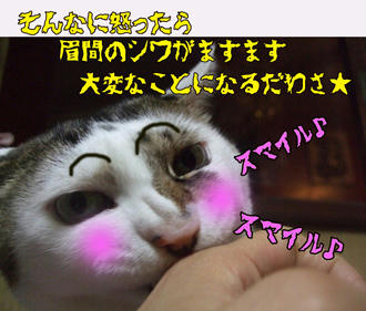 眉間のシワのことは言うなっ!