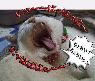 (-゛-メ) ヒクヒク