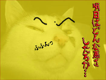眉間のシワなら負けないわよっ!!