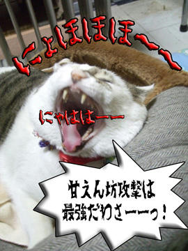 やっぱ作戦か?(-_-メ;)テメ・・・