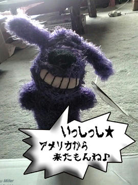 (￣ェ￣;) ｴｯ?