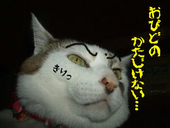 ホント、有り難いこっちゃ♪