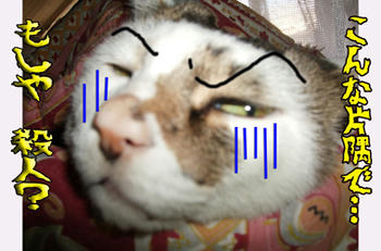 ヒイィィィ!!!!(゚ロ゚ノ)ノ、知り合いかも~~?