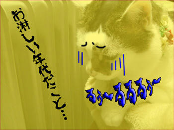 そこで「夜明けのスキャット」を口ずさむな！