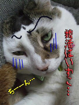 それが一番、重要だったーーっ！