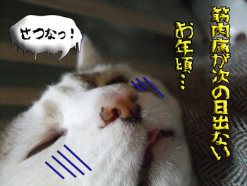 明後日には身が重い？ﾋｰｰｯ!