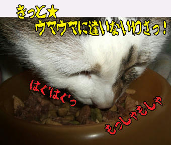 「韓国麺」よりは重いわね…ぷっ