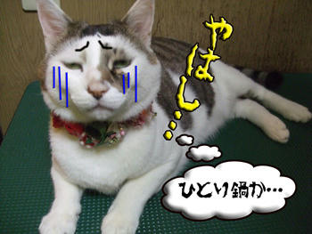 (´∀`)(∀` )(` )( )( `)( `д)(`д´)ｺﾞﾙｧｧｧｧｧ