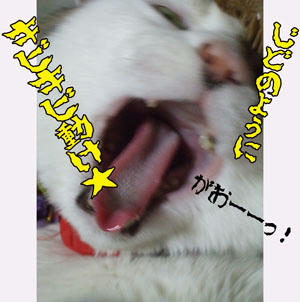 (ﾟ∇ﾟ ;)ｴｯ!?