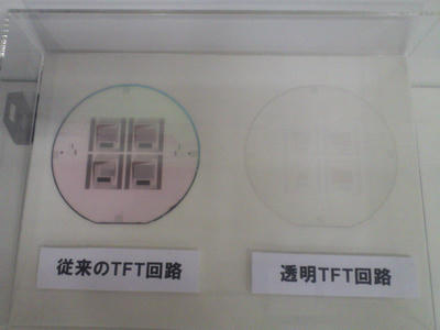 KIMG0342.JPG