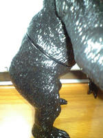 CA3A0324.JPG