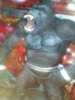 CA3A0456.JPG
