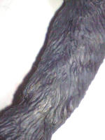 CA3A0454.JPG