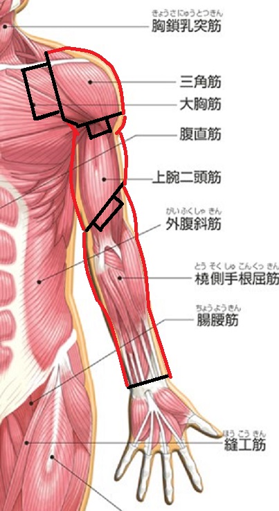 腕部の可動機構｜－ブッカと模型道楽－