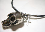 skull1.jpg