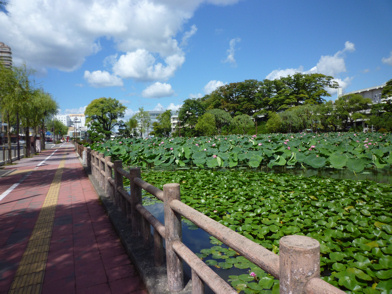 千秋公園のお堀