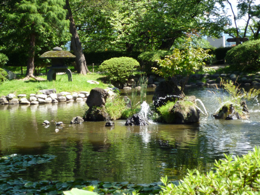 池(沼?)。小学生のとき、ふざけていてこの沼に落ちたバカがいた。