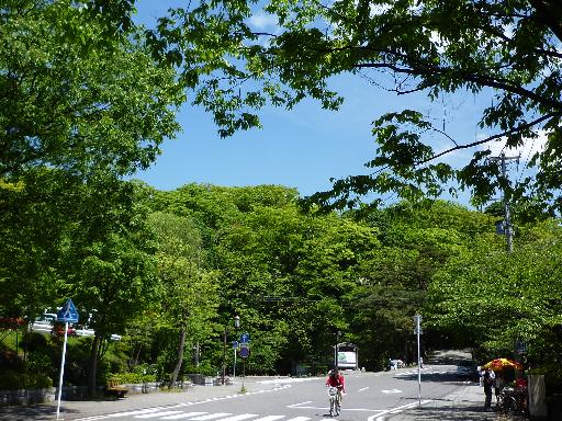 千秋公園の入り口あたり。