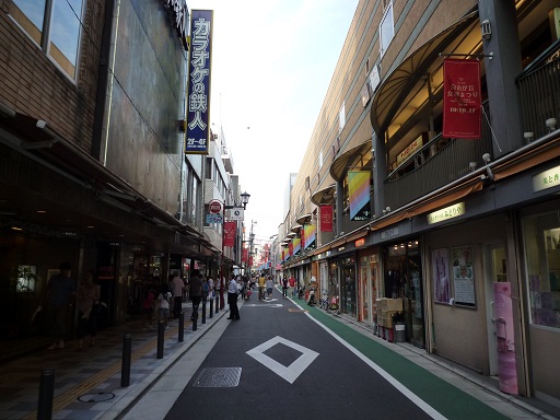 両脇に、いろんなお店があります。この写真だと、カラオケ店がいちばん目立っている感じがしちゃいますね＾＾；