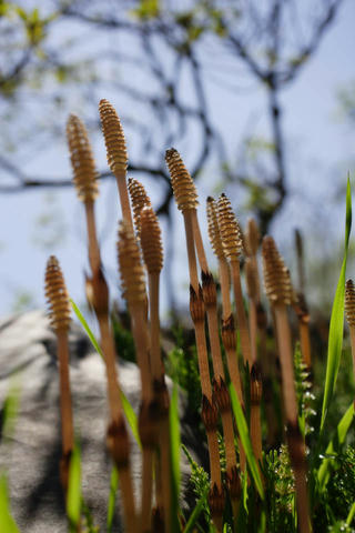 f655f786.jpg