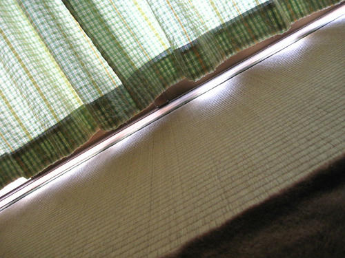 IMG_3556.JPG