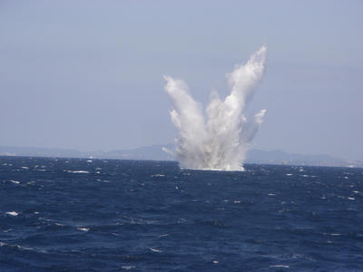 RIMG2487.JPG