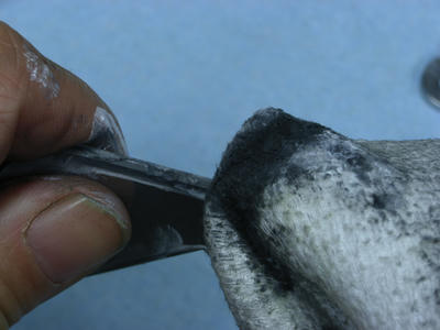 RIMG2846.JPG
