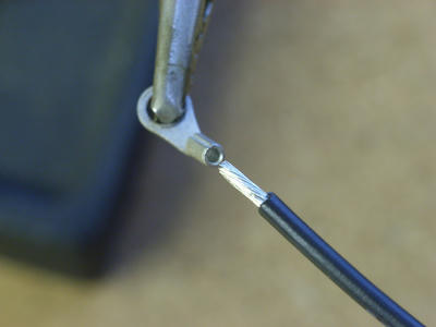 RIMG3003.JPG