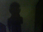 20080218205440.jpg