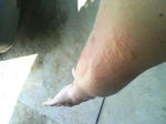 20080816122557.jpg