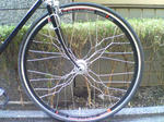 tki001.jpg