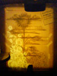20090118191850.jpg