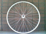 20090118095124.jpg