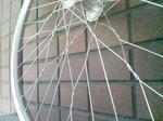 20090118095306.jpg