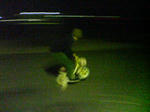 20090126004657.jpg