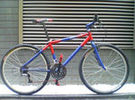 20090127155755.jpg