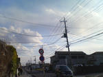 20090326161050.jpg