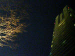 20090409204239.jpg