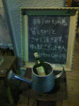 09052401.jpg