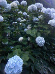 09061102.JPG